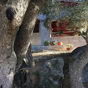  Casa vacanze S'umbra De S'ozzastru